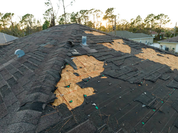 Best Roof Insulation Installation  in Westlake Corner, VA